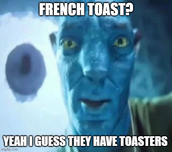 Avatar guy | FRENCH TOAST? YEAH I GUESS THEY HAVE TOASTERS | image tagged in avatar guy | made w/ Imgflip meme maker