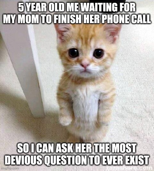 Idk what to put here | 5 YEAR OLD ME WAITING FOR MY MOM TO FINISH HER PHONE CALL; SO I CAN ASK HER THE MOST DEVIOUS QUESTION TO EVER EXIST | image tagged in memes,cute cat | made w/ Imgflip meme maker