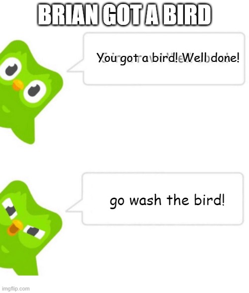 Hatchet meme | BRIAN GOT A BIRD; You got a bird! Well done! go wash the bird! | image tagged in duolingo 5 in a row | made w/ Imgflip meme maker