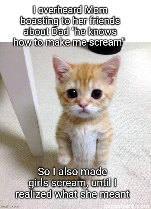 Screaming Girls | I overheard Mom boasting to her friends about Dad "he knows how to make me scream"; So I also made girls scream, until I realized what she meant | image tagged in memes,cute cat,screaming | made w/ Imgflip meme maker