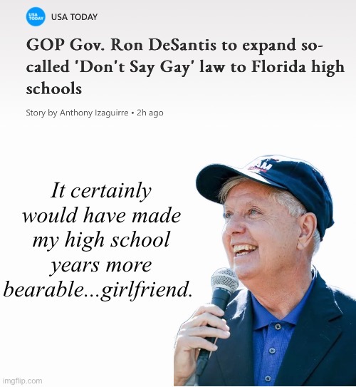 Lindsey's Lament--Bear ABLE | image tagged in don't say gay,formative years,conservative hypocrisy,hypocrite,no fly zone | made w/ Imgflip meme maker