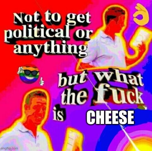 Not to get political but tf | CHEESE | image tagged in not to get political but tf | made w/ Imgflip meme maker