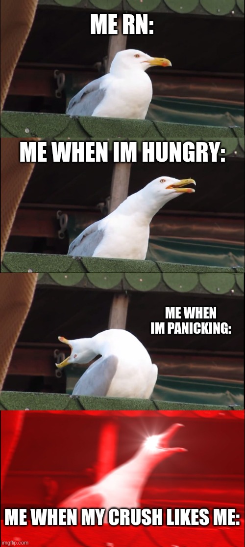 help | ME RN:; ME WHEN IM HUNGRY:; ME WHEN IM PANICKING:; ME WHEN MY CRUSH LIKES ME: | image tagged in memes,inhaling seagull | made w/ Imgflip meme maker