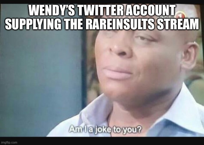 WENDY’S TWITTER ACCOUNT SUPPLYING THE RAREINSULTS STREAM | image tagged in am i a joke to you | made w/ Imgflip meme maker