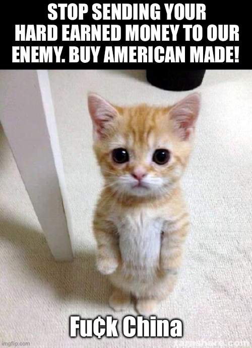 China Sucks! | STOP SENDING YOUR HARD EARNED MONEY TO OUR ENEMY. BUY AMERICAN MADE! Fu¢k China | image tagged in made in america,support america,enemy,patriotic,americans | made w/ Imgflip meme maker