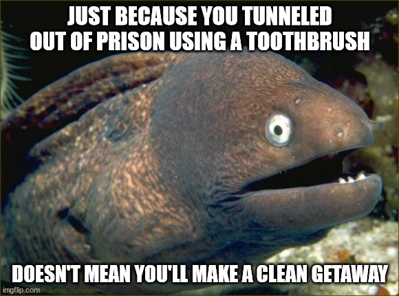 They're supposed to prevent cavities, not make them | JUST BECAUSE YOU TUNNELED OUT OF PRISON USING A TOOTHBRUSH; DOESN'T MEAN YOU'LL MAKE A CLEAN GETAWAY | image tagged in memes,bad joke eel | made w/ Imgflip meme maker