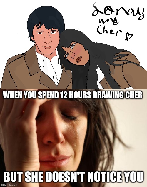Cher | WHEN YOU SPEND 12 HOURS DRAWING CHER; BUT SHE DOESN'T NOTICE YOU | image tagged in 1960's,drawing | made w/ Imgflip meme maker