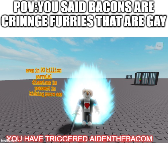 nope | POV:YOU SAID BACONS ARE CRINNGE FURRIES THAT ARE GAY; YOU HAVE TRIGGERED AIDENTHEBACOM | image tagged in even in 90 parelel dime | made w/ Imgflip meme maker