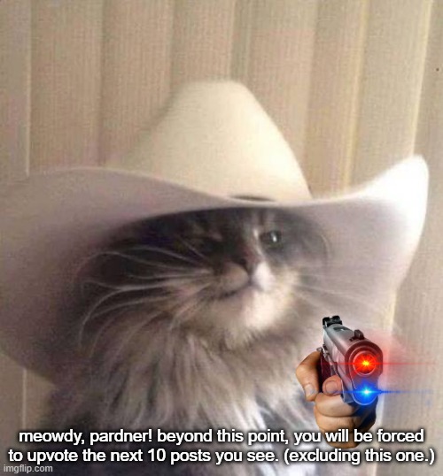 the final haw | meowdy, pardner! beyond this point, you will be forced to upvote the next 10 posts you see. (excluding this one.) | image tagged in meowdy,big iron,cowboy cat | made w/ Imgflip meme maker