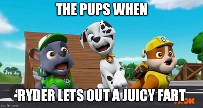 Paw Patrol Shocked Rocky, Marshall, and Rubble | THE PUPS WHEN; RYDER LETS OUT A JUICY FART | image tagged in paw patrol shocked rocky marshall and rubble | made w/ Imgflip meme maker