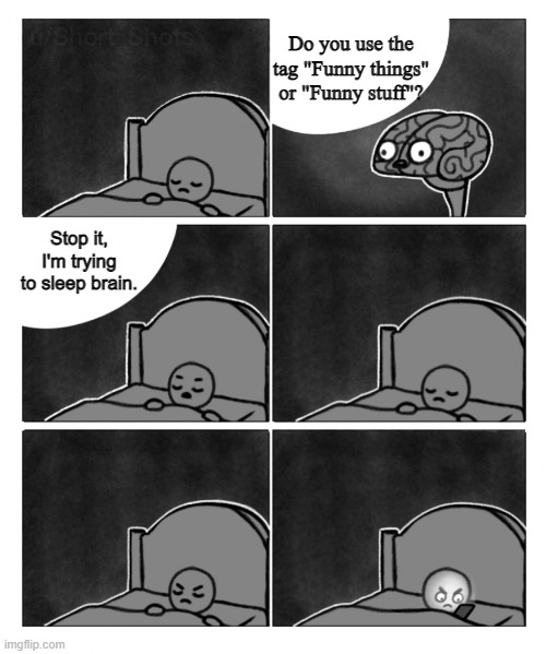 Me as a Tumblr user | Do you use the tag "Funny things" or "Funny stuff"? Stop it, I'm trying to sleep brain. | image tagged in stop it i'm trying to sleep brain | made w/ Imgflip meme maker