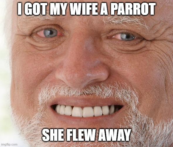 Hide the Pain Harold | I GOT MY WIFE A PARROT SHE FLEW AWAY | image tagged in hide the pain harold,oof | made w/ Imgflip meme maker