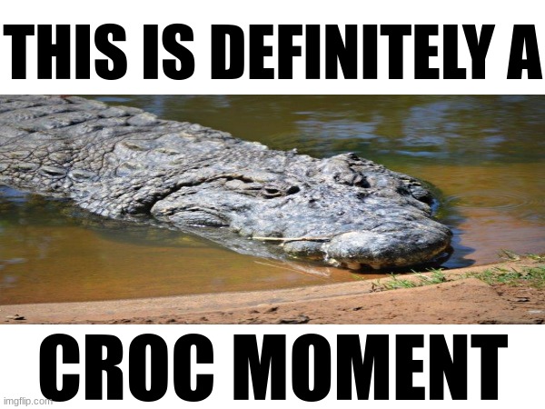 THIS IS DEFINITELY A; CROC MOMENT | made w/ Imgflip meme maker