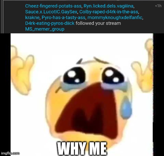 WHY ME | image tagged in cursed crying emoji | made w/ Imgflip meme maker