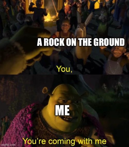 have you picked up a rock in school? let’s get iceu to comment on this meme! | A ROCK ON THE GROUND; ME | image tagged in shrek you're coming with me | made w/ Imgflip meme maker