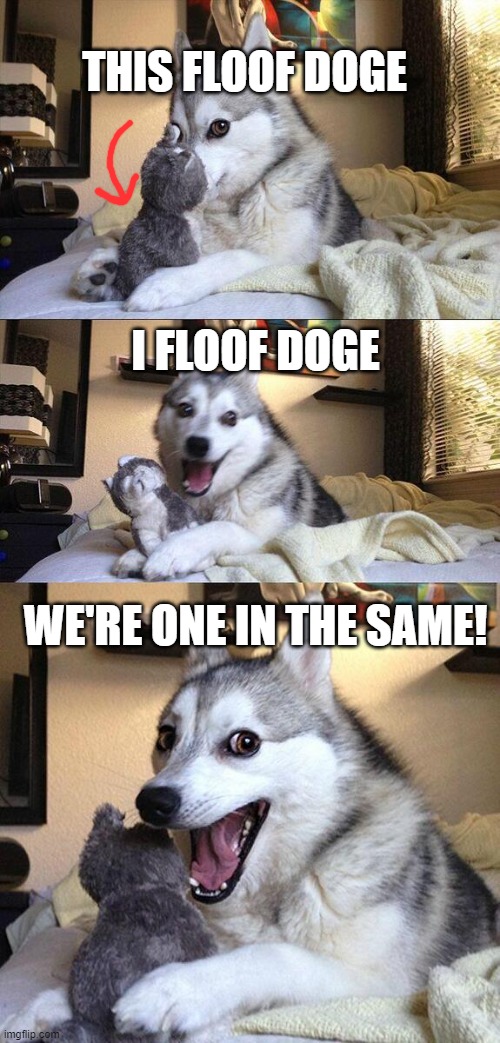 Bad Pun Dog Meme | THIS FLOOF DOGE; I FLOOF DOGE; WE'RE ONE IN THE SAME! | image tagged in memes,bad pun dog | made w/ Imgflip meme maker