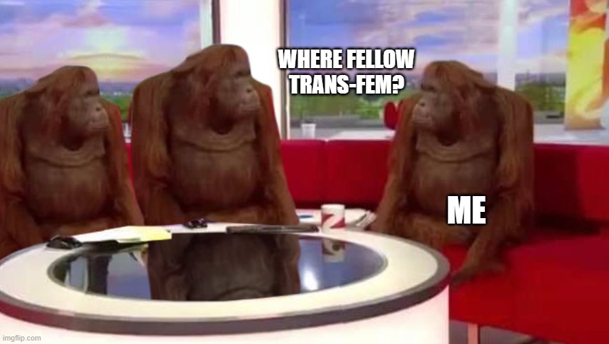 where monkey | WHERE FELLOW TRANS-FEM? ME | image tagged in where monkey | made w/ Imgflip meme maker