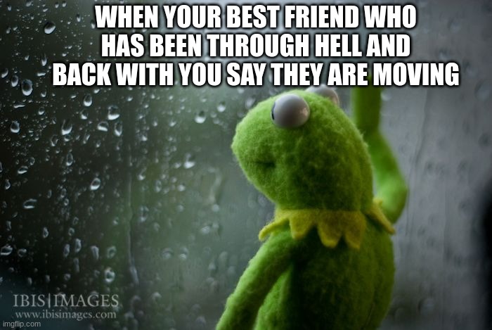 Just happened. I am crying | WHEN YOUR BEST FRIEND WHO HAS BEEN THROUGH HELL AND BACK WITH YOU SAY THEY ARE MOVING | image tagged in kermit window | made w/ Imgflip meme maker