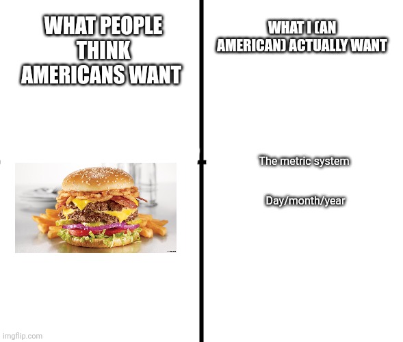 Fr tho | WHAT I (AN AMERICAN) ACTUALLY WANT; WHAT PEOPLE THINK AMERICANS WANT; The metric system 
 
 
Day/month/year | image tagged in blank chart | made w/ Imgflip meme maker