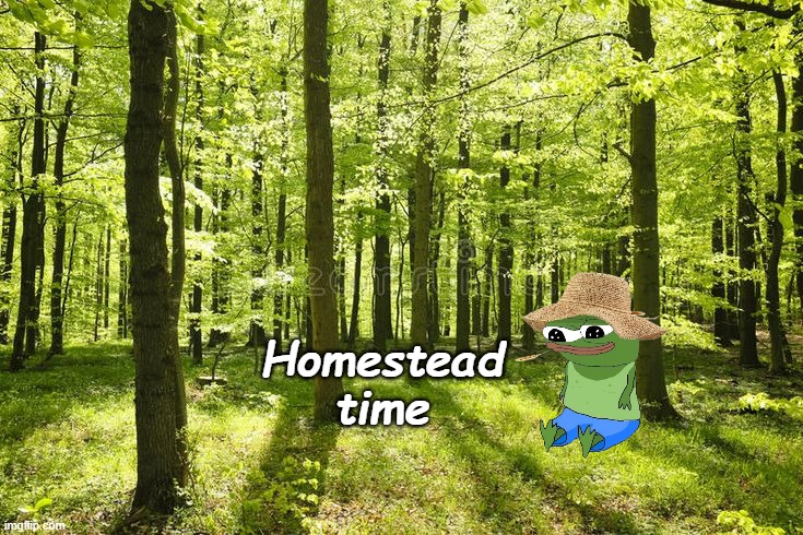 Homestead time | made w/ Imgflip meme maker