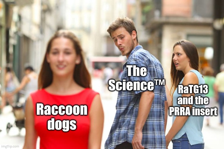 Raccoon dogs! | The Science™; RaTG13 and the PRRA insert; Raccoon dogs | image tagged in memes,distracted boyfriend,the science,covid | made w/ Imgflip meme maker