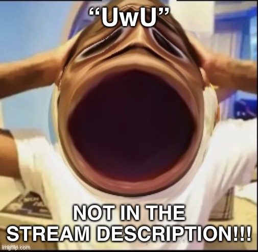 Nahhh | “UwU”; NOT IN THE STREAM DESCRIPTION!!! | image tagged in really shocked black guy | made w/ Imgflip meme maker