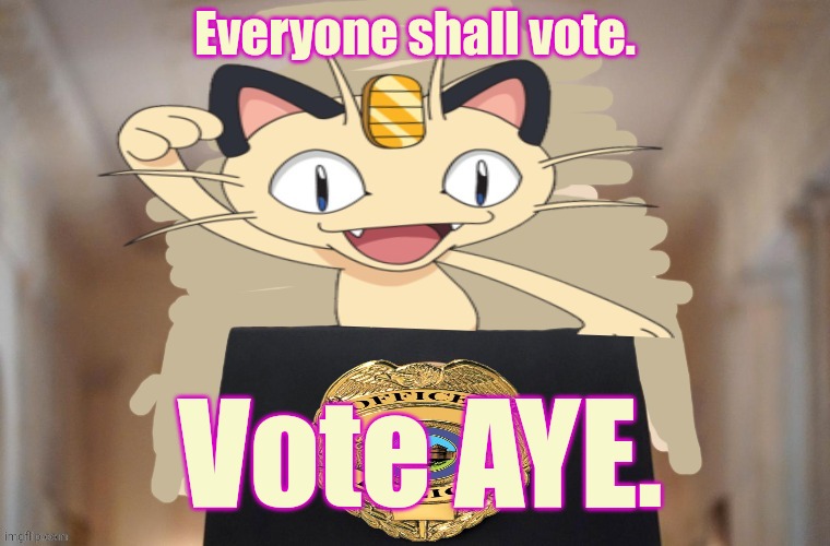 Meowth party | Everyone shall vote. Vote AYE. | image tagged in meowth party | made w/ Imgflip meme maker