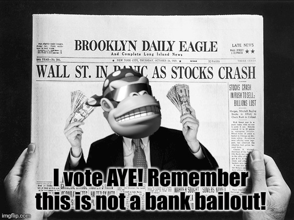 Don't forget to vote | I vote AYE! Remember this is not a bank bailout! | image tagged in vote,for,meowths bailout bill,dew it | made w/ Imgflip meme maker