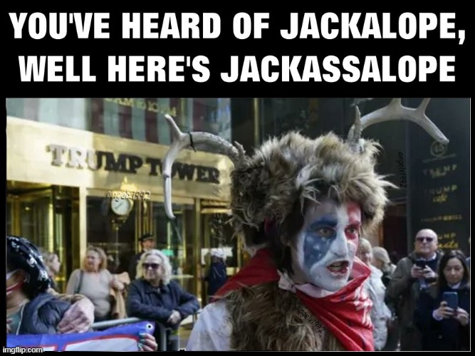 image tagged in jackalope,clown car republicans,jack ass,myth,maga morons,trumpturds | made w/ Imgflip meme maker