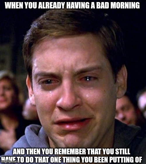 crying peter parker | WHEN YOU ALREADY HAVING A BAD MORNING; AND THEN YOU REMEMBER THAT YOU STILL HAVE TO DO THAT ONE THING YOU BEEN PUTTING OF | image tagged in crying peter parker | made w/ Imgflip meme maker