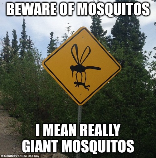 Time to get all my blood sucked out | BEWARE OF MOSQUITOS; I MEAN REALLY GIANT MOSQUITOS | made w/ Imgflip meme maker