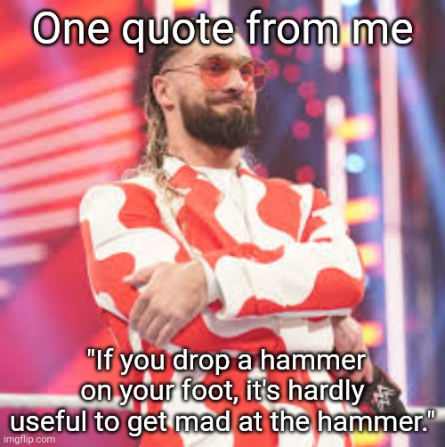You were the one who dropped the hammer, and the hammer don't care | One quote from me; "If you drop a hammer on your foot, it's hardly useful to get mad at the hammer." | image tagged in seth rollins | made w/ Imgflip meme maker