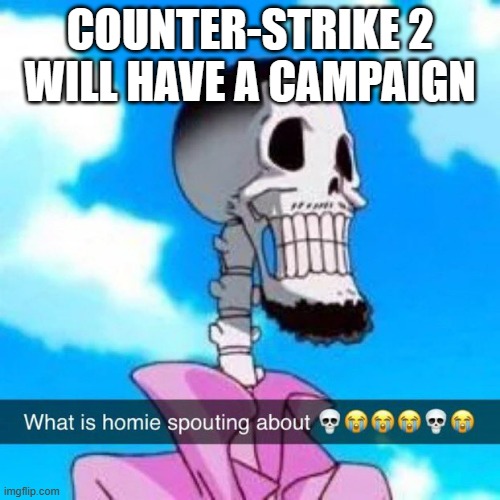 What is homie spouting about | COUNTER-STRIKE 2
WILL HAVE A CAMPAIGN | image tagged in what is homie spouting about | made w/ Imgflip meme maker