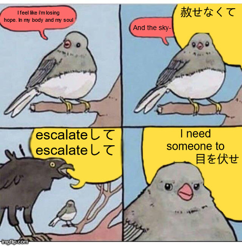 annoyed bird |  I feel like i'm losing hope. In my body and my soul; 赦せなくて; And the sky-; escalateして escalateして; I need someone to
              目を伏せ | image tagged in annoyed bird,memes,nier automata | made w/ Imgflip meme maker