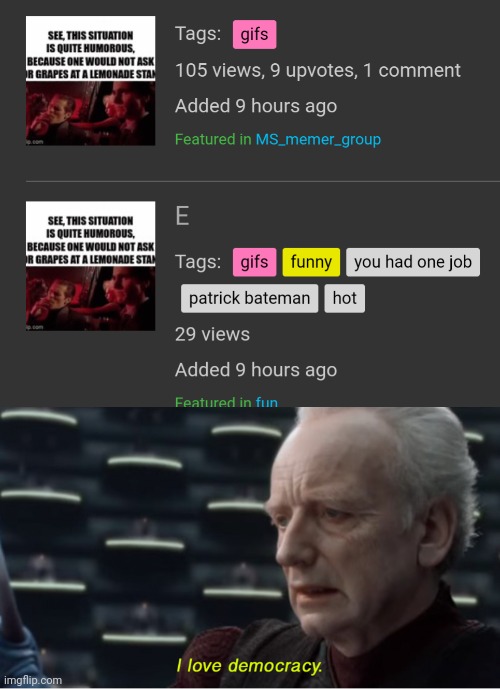 Ms_mg has taste | image tagged in i love democracy | made w/ Imgflip meme maker