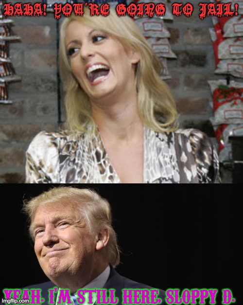 Trump: 1 Sloppy Daniels: 0 | HAHA! YOU'RE GOING TO JAIL! YEAH. I'M STILL HERE, SLOPPY D. | image tagged in stormy daniels,smug trump | made w/ Imgflip meme maker