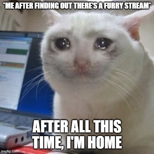 qwq | *ME AFTER FINDING OUT THERE'S A FURRY STREAM*; AFTER ALL THIS TIME, I'M HOME | image tagged in crying cat | made w/ Imgflip meme maker