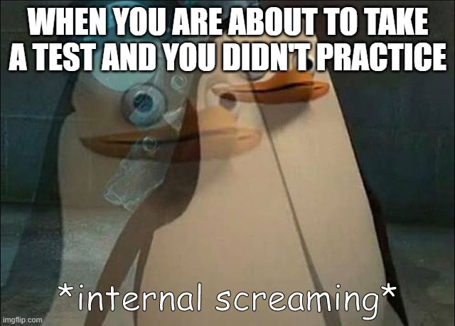 This probably happened to everyone | WHEN YOU ARE ABOUT TO TAKE A TEST AND YOU DIDN'T PRACTICE | image tagged in private internal screaming | made w/ Imgflip meme maker