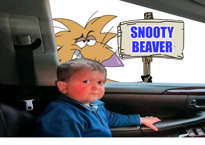 snooty beaver | SNOOTY BEAVER | made w/ Imgflip meme maker