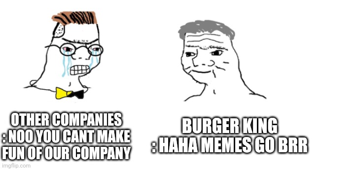 Brr |  OTHER COMPANIES : NOO YOU CANT MAKE FUN OF OUR COMPANY; BURGER KING : HAHA MEMES GO BRR | image tagged in nooo haha go brrr | made w/ Imgflip meme maker