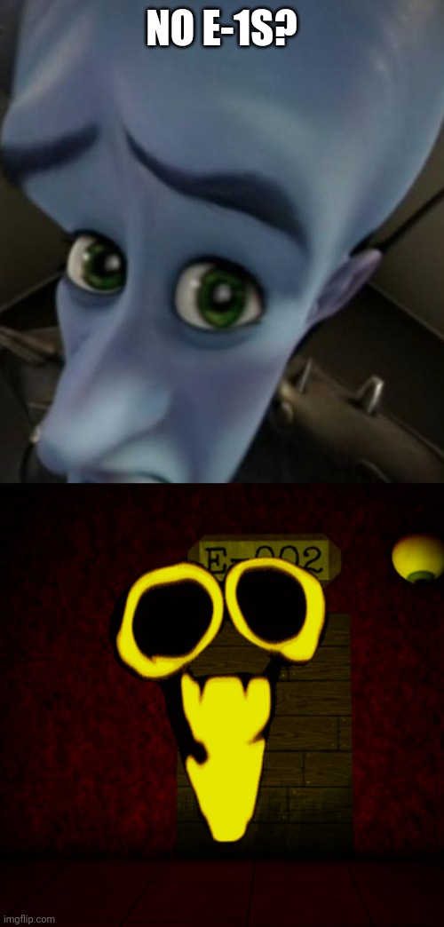 NO E-1S? | NO E-1S? | image tagged in megamind no bitches | made w/ Imgflip meme maker