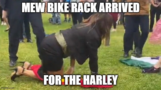 MEW BIKE RACK ARRIVED; FOR THE HARLEY | made w/ Imgflip meme maker