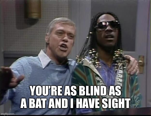 1982 | YOU’RE AS BLIND AS A BAT AND I HAVE SIGHT | image tagged in frank and stevies - snl | made w/ Imgflip meme maker
