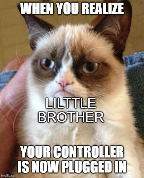 grumpy | WHEN YOU REALIZE; LILTTLE BROTHER; YOUR CONTROLLER IS NOW PLUGGED IN | image tagged in memes,grumpy cat,funny,cats | made w/ Imgflip meme maker
