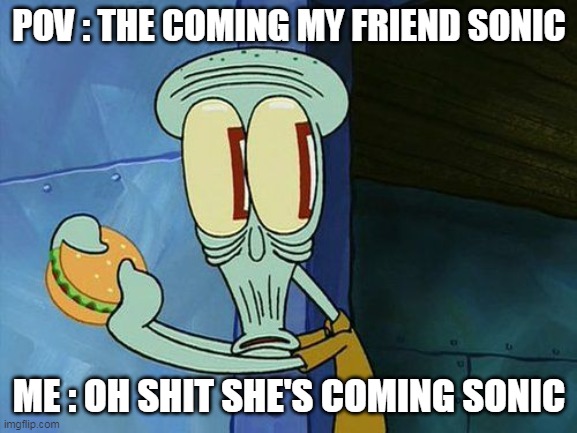 Oh shit Squidward | POV : THE COMING MY FRIEND SONIC; ME : OH SHIT SHE'S COMING SONIC | image tagged in oh shit squidward | made w/ Imgflip meme maker