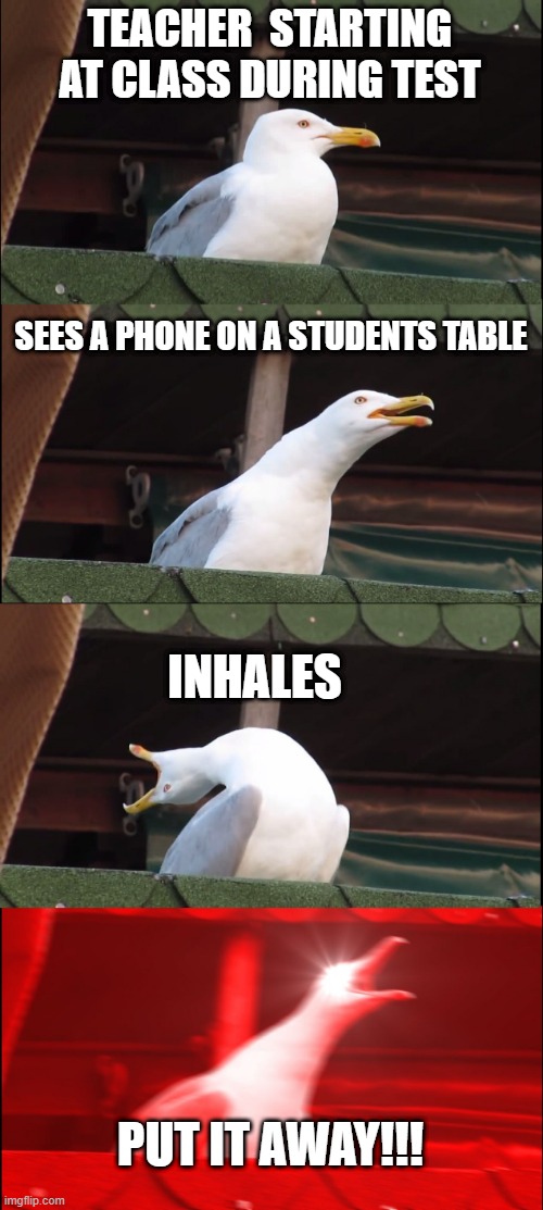 Every teacher ever | TEACHER  STARTING AT CLASS DURING TEST; SEES A PHONE ON A STUDENTS TABLE; INHALES; PUT IT AWAY!!! | image tagged in memes,inhaling seagull | made w/ Imgflip meme maker