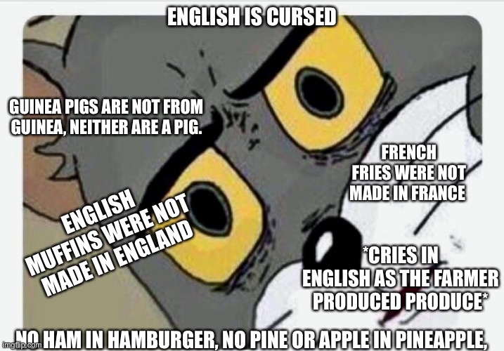 Why English, why | ENGLISH IS CURSED; GUINEA PIGS ARE NOT FROM GUINEA, NEITHER ARE A PIG. FRENCH FRIES WERE NOT MADE IN FRANCE; ENGLISH MUFFINS WERE NOT MADE IN ENGLAND; *CRIES IN ENGLISH AS THE FARMER PRODUCED PRODUCE*; NO HAM IN HAMBURGER, NO PINE OR APPLE IN PINEAPPLE, | image tagged in disturbed tom | made w/ Imgflip meme maker