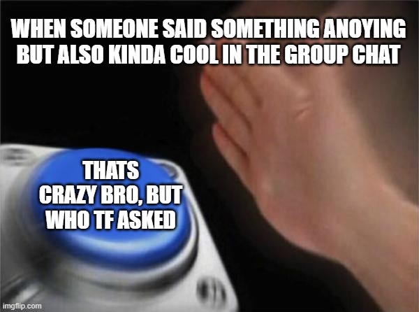 Blank Nut Button Meme | WHEN SOMEONE SAID SOMETHING ANOYING BUT ALSO KINDA COOL IN THE GROUP CHAT; THATS CRAZY BRO, BUT WHO TF ASKED | image tagged in memes,blank nut button | made w/ Imgflip meme maker