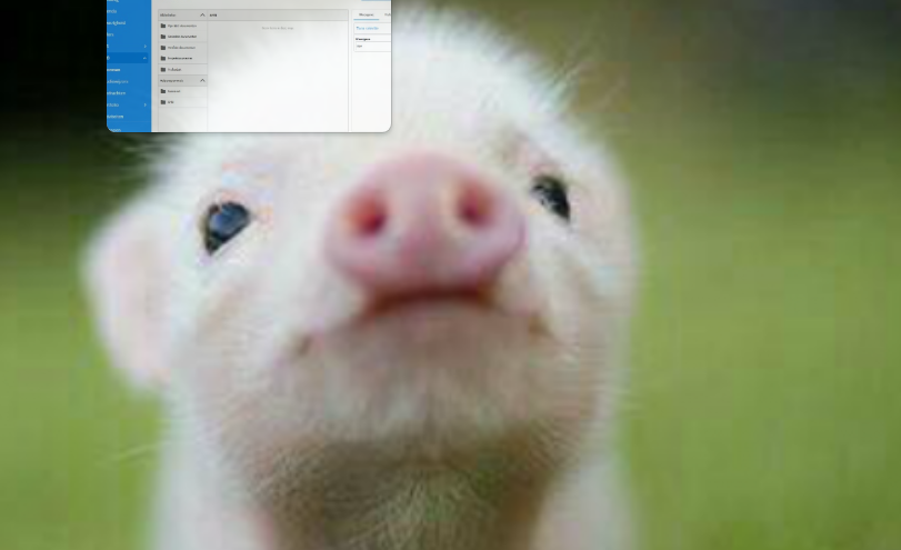 piggy be like: Blank Meme Template
