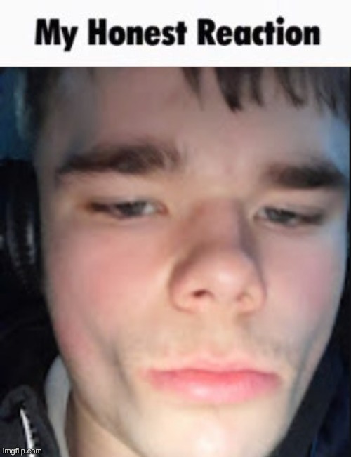 image tagged in my honest reaction | made w/ Imgflip meme maker